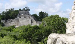 Calakmul, Mayan Ruins Deep in the Jungles of Campeche